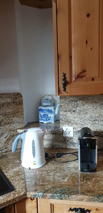 Apartament Chasa Melchior Zernez Zewnętrze zdjęcie